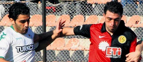 Timsah y�r�y���