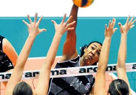 Aslan pençesi