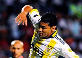 Kanarya kanatland�!