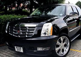 �ngiltere'den cipi getirildi