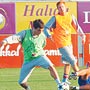 Doğan hırs aşılıyor