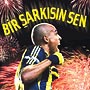 Bir şarkısın sen