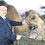 Horoz'a deve kurban edildi