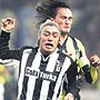 Toraman iyi