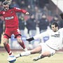 İki farklı Kartal