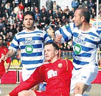 Tatlı Kayısı