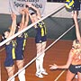 Dişi Kanaryalar Eczacı'yı devirdi