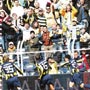 Rakipsiz Fener