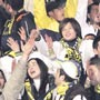 Bilete hücum