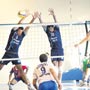 Şampiyon rahat