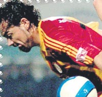 Yerli harekatı