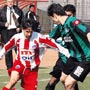 Sakaryaspor uygun adım