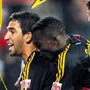 Beyaz tilki